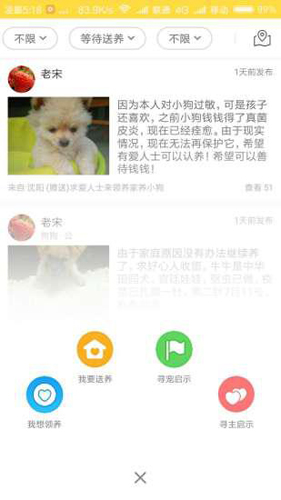 宠物领养无广告版(1)
