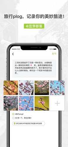 豆芽部落官方正版(1)