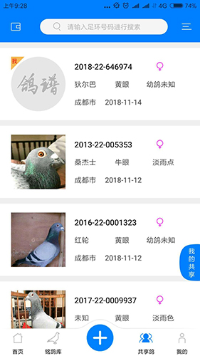 天下鸽谱免费版(2)