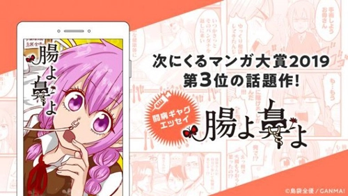 GANMA通用版图4