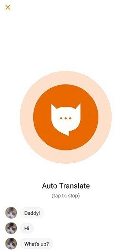 MeowTalk软件手机最新版图1