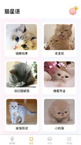 猫语翻译大师官方版图2