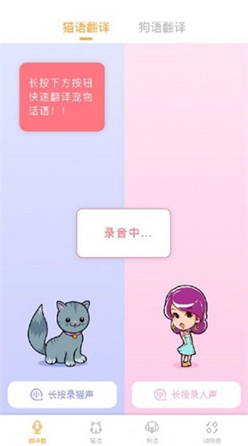 猫语翻译大师官方版图3