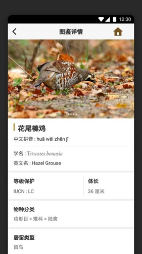 识鸟家手机最新版(1)