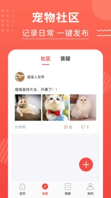 猫猫翻译器手机版(5)