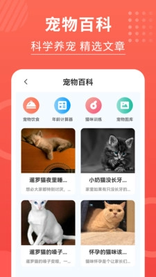 猫猫翻译器手机版(2)