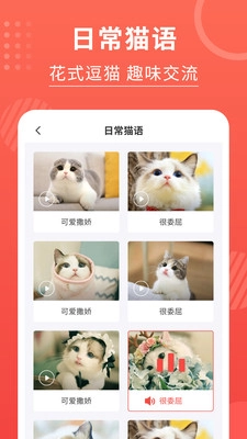 猫猫翻译器手机版(4)
