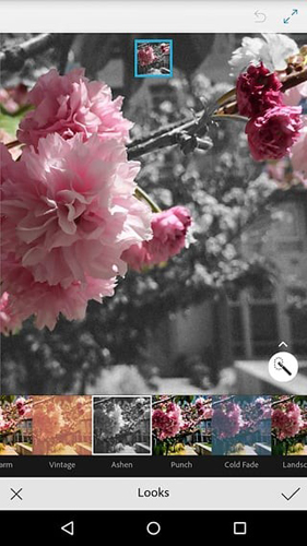 Photoshop Mix手机版图5