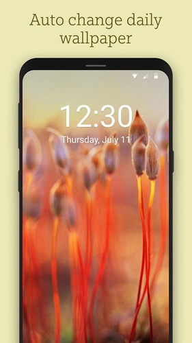 Bing Wallpapers通用版图2