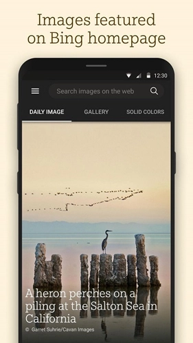 Bing Wallpapers通用版图4