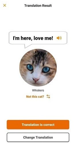 喵说最新免费版图1