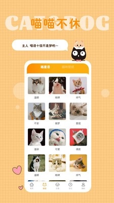 猫语狗语转换器安卓版图3