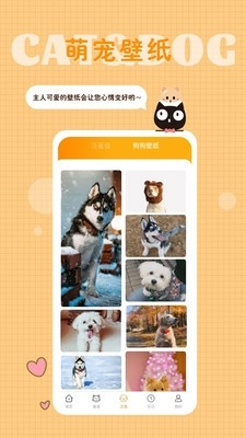 猫语狗语转换器安卓版图4