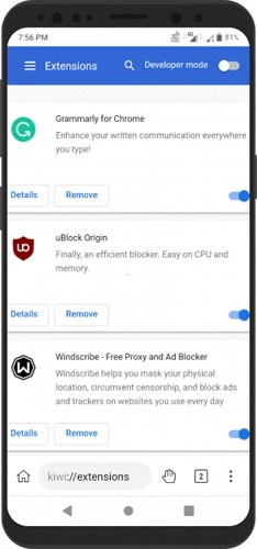 KiwiBrowser官方最新版图2