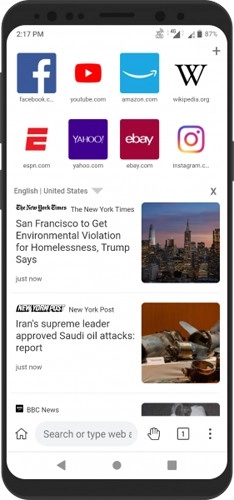 KiwiBrowser官方最新版图3