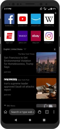KiwiBrowser官方最新版图1