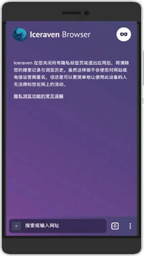 Iceraven浏览器安卓直装版图2