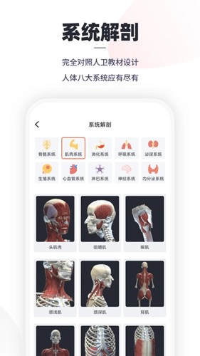 口袋人体解剖手机免费版图1