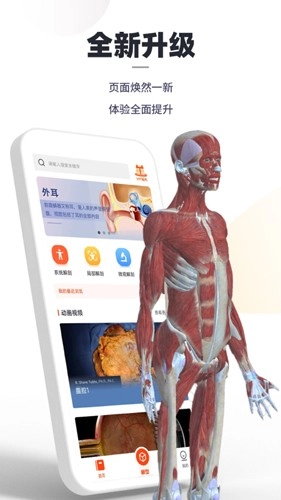 口袋人体解剖手机免费版图3