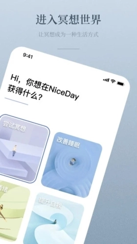 NiceDayApp正版图2