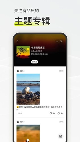 迷岛安卓官方版图2