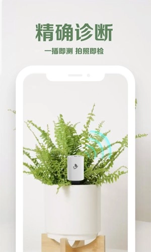 花医生手机版图4