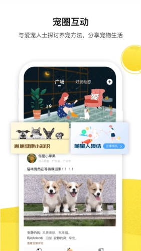 宠陪陪官方正版图4