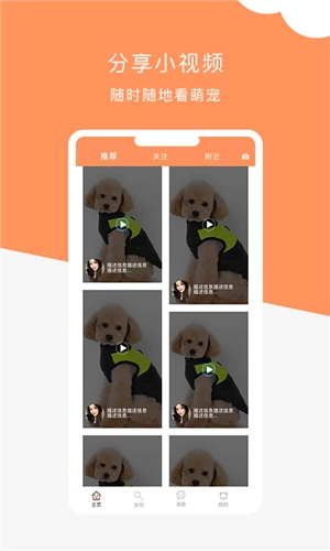 栖宠免费版图1