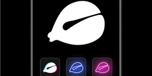 小鲜木鱼安卓版下载