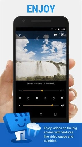 Web Video Caster 免费版图2