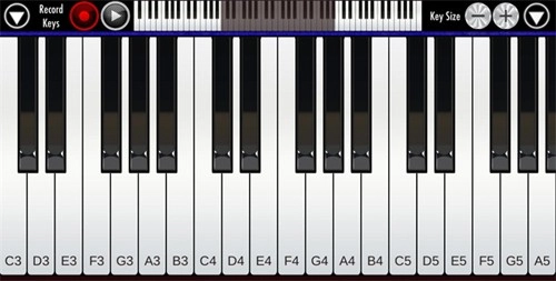 RealPiano安卓官方版图1