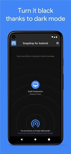 Snapdrop传输文件最新免费版图3
