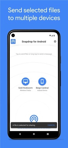 Snapdrop传输文件最新免费版图4