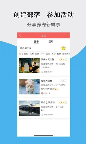 宠夫子手机版图2