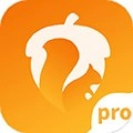 坚果隐藏pro v1.4.4