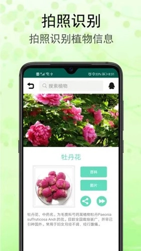 识花草安卓免费版图4