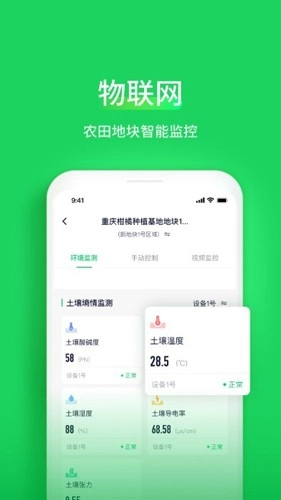 智慧稻草人(2)