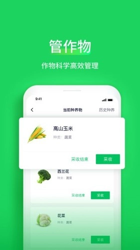 智慧稻草人(4)