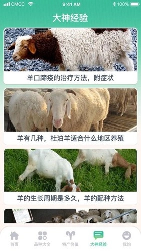 养羊指南免费版图2