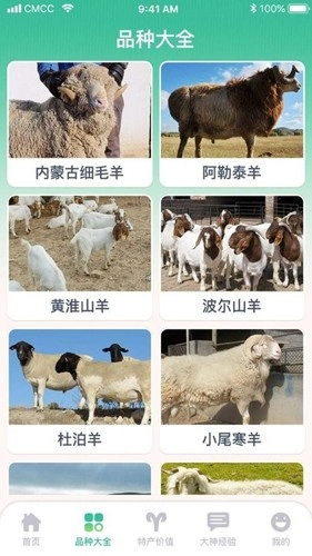 养羊指南免费版图3