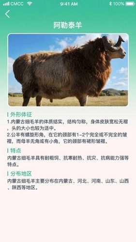 养羊指南免费版图4
