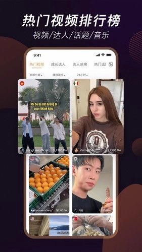 TikStar 官方版截图2