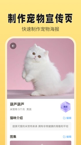 猫老板最新免费版图2