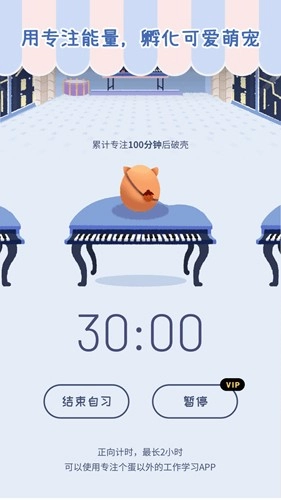 专注个蛋(4)
