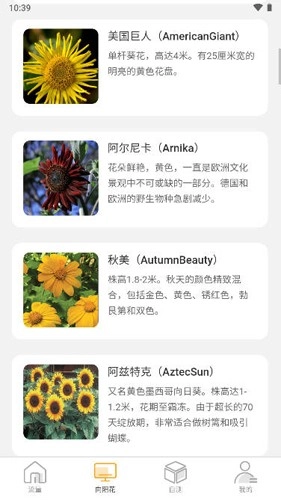 向阳流量正版图1