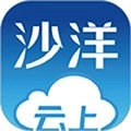 云上沙洋直装版