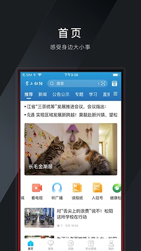 掌上松阳移动客户端手机最新版图1