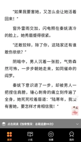 小歪看小说安卓版图3