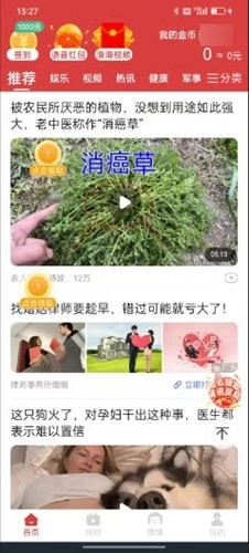 幸福小猪红包版图3
