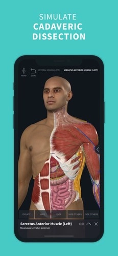 completeanatomy手机版图2